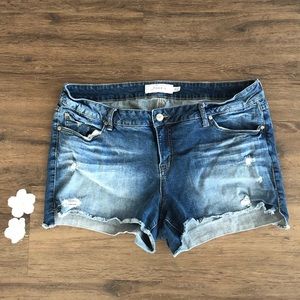 Torrid Slightly Distressed Blue Jean Shorts